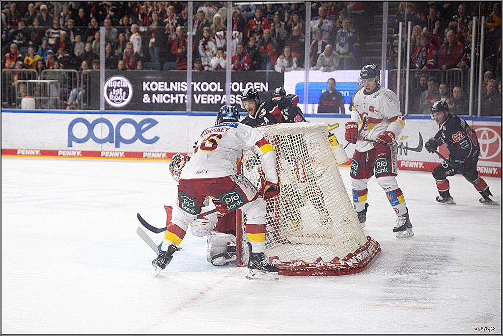PENNY DEL 1; Kölner Haie - Düsseldorfer EG ; Köln, 16.02.2025